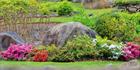 Japanese Garden - Cowra 